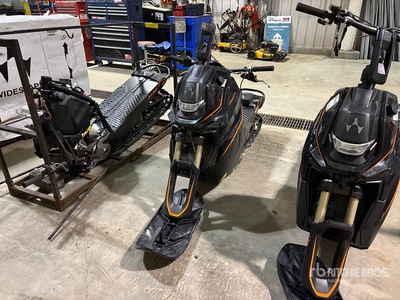 Widescape WS250 Stand Up Snowmobile