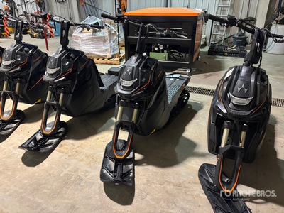 Widescape WS250 Stand Up Snowmobile