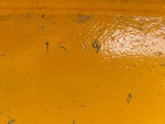 General Appearance with Numéro de série/Numéro d'identification du véhicule automobile