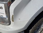General Appearance with Paint
