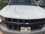 General Appearance with Paint