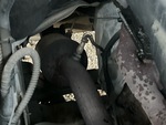 Engine with Exhaust System