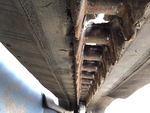 Chassis with Rubber Belt Drive Lugs
