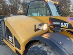 General Appearance with Paint