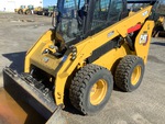 General Appearance with Paint