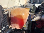 Motor with
