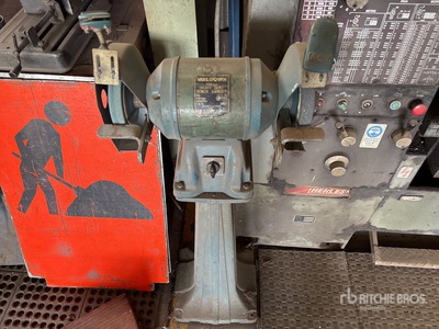 Waldown Electric 200 mm Bench Grinder