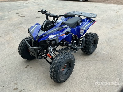 2021 4x2 ATV (Unused)
