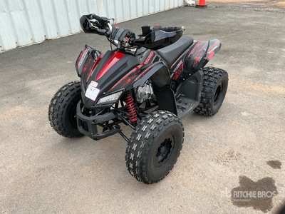 2021 Tao 4x2 ATV (Unused)
