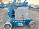 General Appearance with Paint