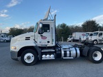 General Appearance with Paint
