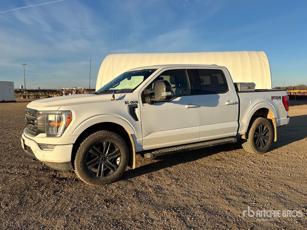 General Appearance with Spin