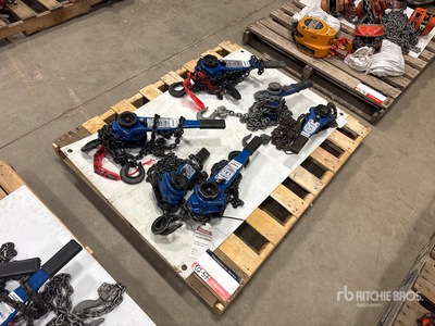 Quantity of (6) Miscellaneous Chain Hoists