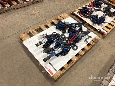 Quantity of (6) Miscellaneous Chain Hoists