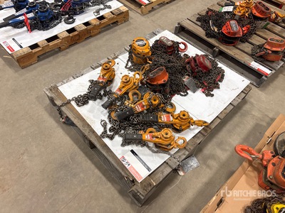 Quantity of (9) Miscellaneous Chain Hoists