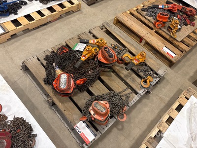 Quantity of (6) Miscellaneous Chain Hoists