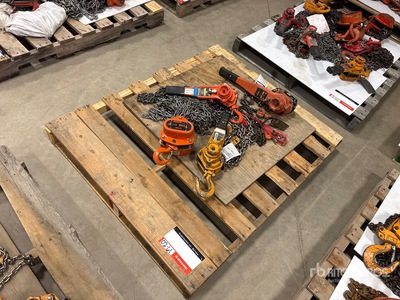 Quantity of (4) Miscellaneous Chain Hoists