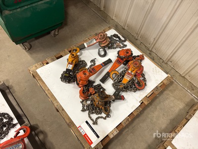 Quantity of (6) Miscellaneous Chain Hoists