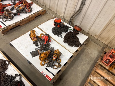 Quantity of (6) Miscellaneous Chain Hoists