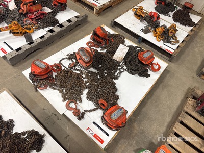 Quantity of (5) Miscellaneous Chain Hoists