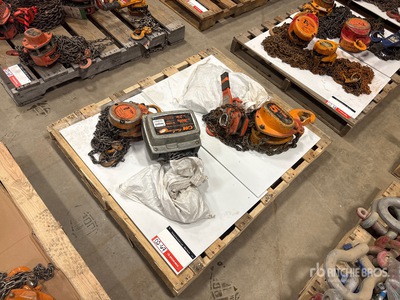 Quantity of (3) Miscellaneous Chain Hoists