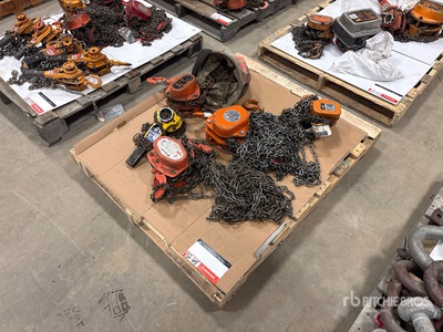 Quantity of (5) Miscellaneous Chain Hoists