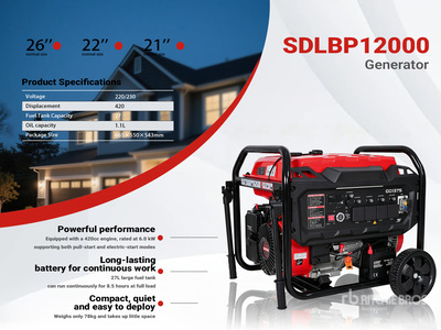 2026 SDLBP12000 Gasoline Groupe électrogène portable (Unused)