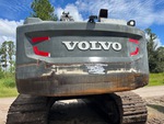 General Appearance with Paint