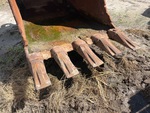 Specialty with Bucket Cutting Edge/Shanks/Teeth