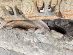 Undercarriage with Left Idler