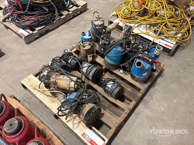 Quantity of (13) Electric Miscellaneous Submersible Water Pump