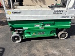 General Appearance with Paint