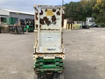 General Appearance with Paint