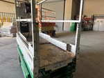 General Appearance with Hand Rails