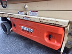 General Appearance with Pintura