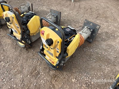 2020 Bomag BT65 Pisón