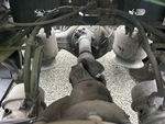 Drivetrain with 