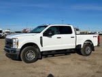 General Appearance with Spin