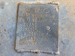 Specialty with