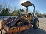 General Appearance with Paint