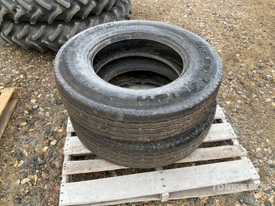 Quantity of (2) BFGoodrich 11R24.5 Pneumatici per autocarro