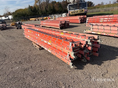 Werner Ladder