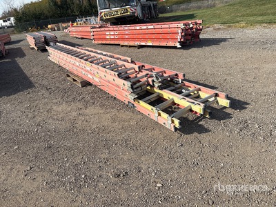 Quantity of Werner Ladder