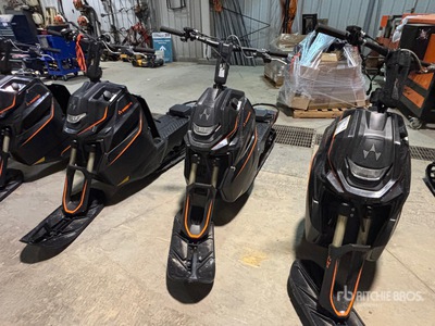 2023 Widescape WS250 EFI Stand Up Snowmobile