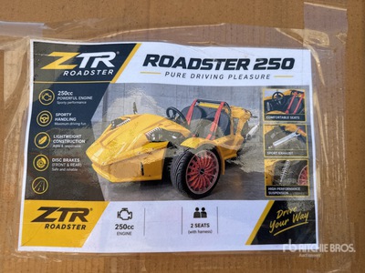 ZTR Dune Buggy