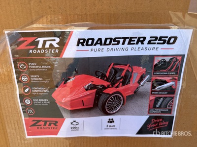 ZTR Dune Buggy