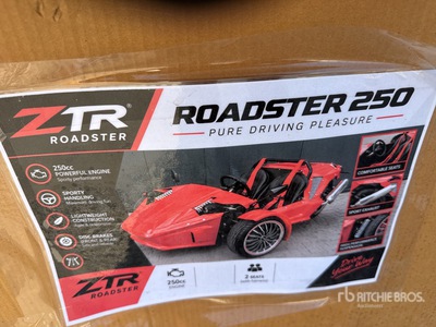 ZTR Dune Buggy