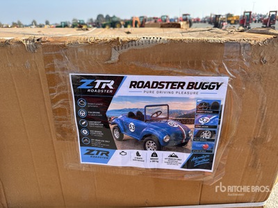 Beetle Buggy