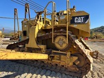 General Appearance with Paint