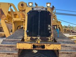 General Appearance with Paint
